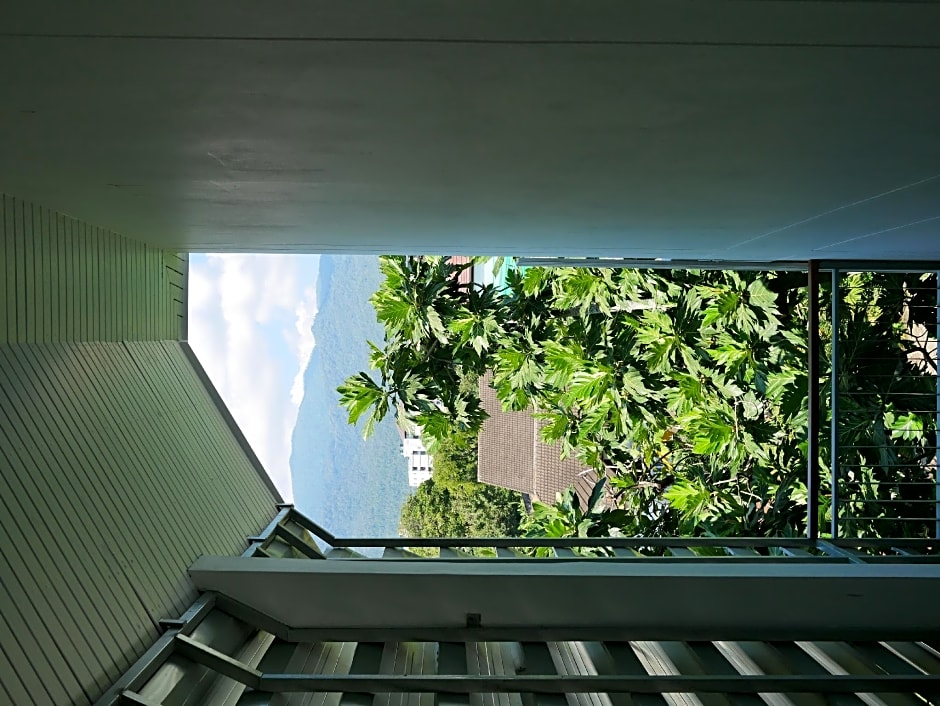 Breadfruit – Chiang Mai, IA