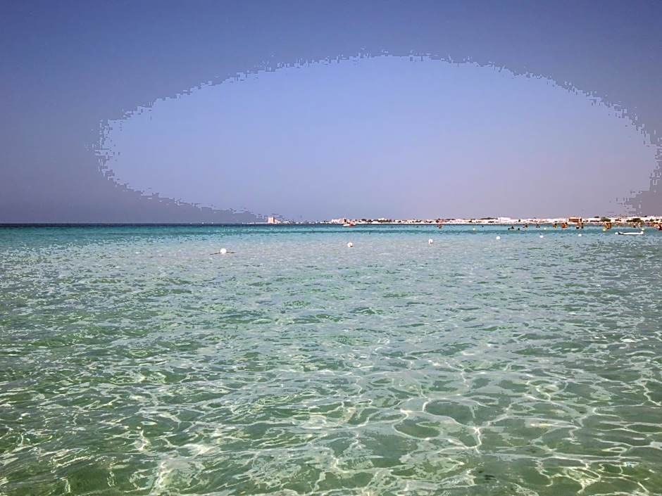 Tenuta Monaci La Murra