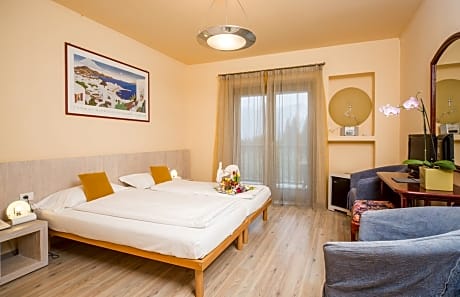 Triple room with balcony garden view