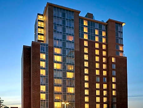 Premium King Studio Suite - Non-Smoking