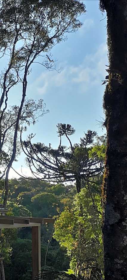Morada do Xaxim - Chalé Hortência