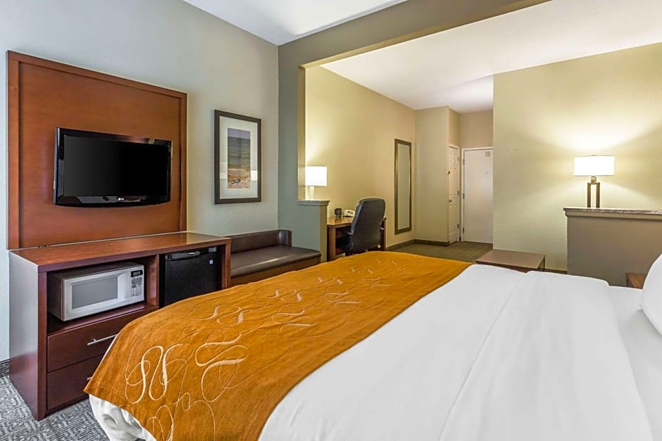 Comfort Suites At the University