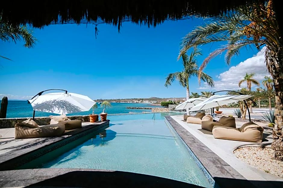 Orchid House Baja La Paz