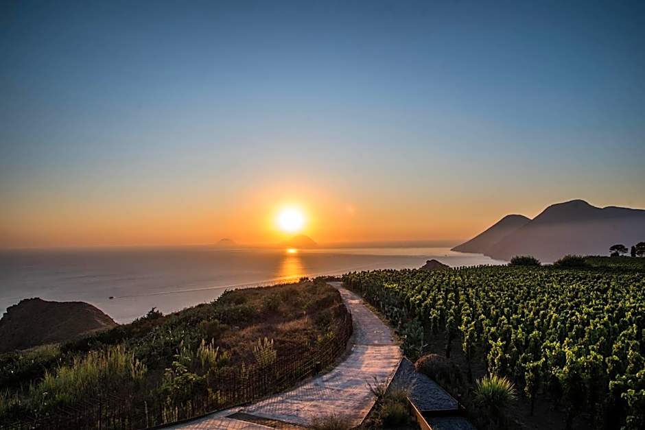 Tenuta di Castellaro Winery & Resort