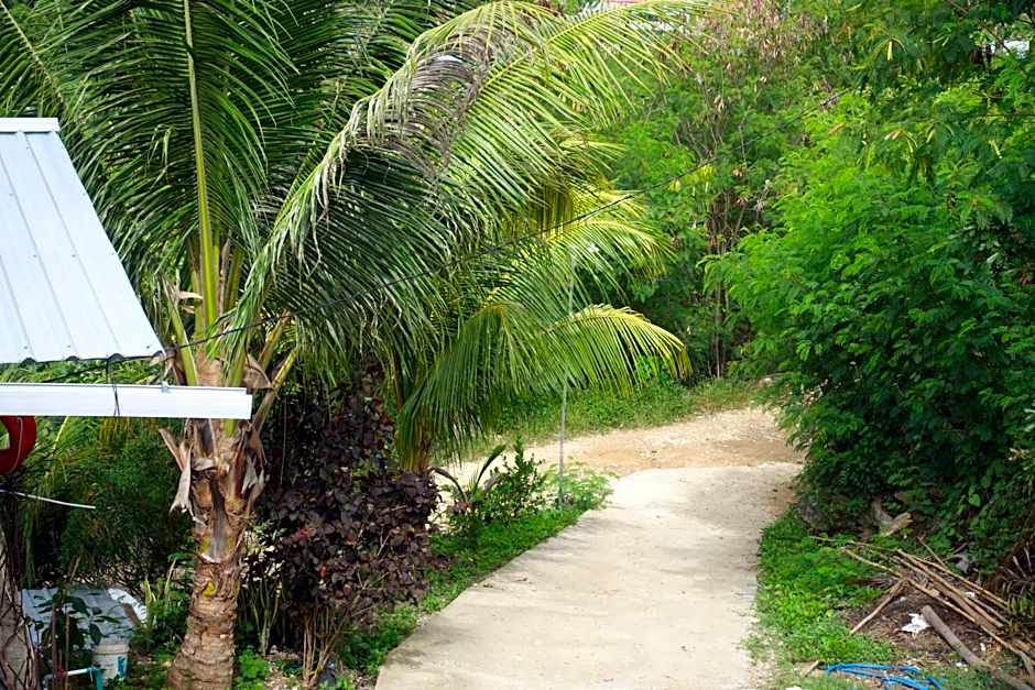 Tarsan Homestay