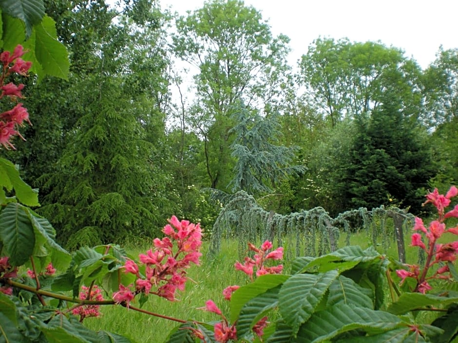 Chambres d'hôtes du Moulin de la Chaussee