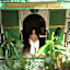 Riad Les Oliviers & Spa