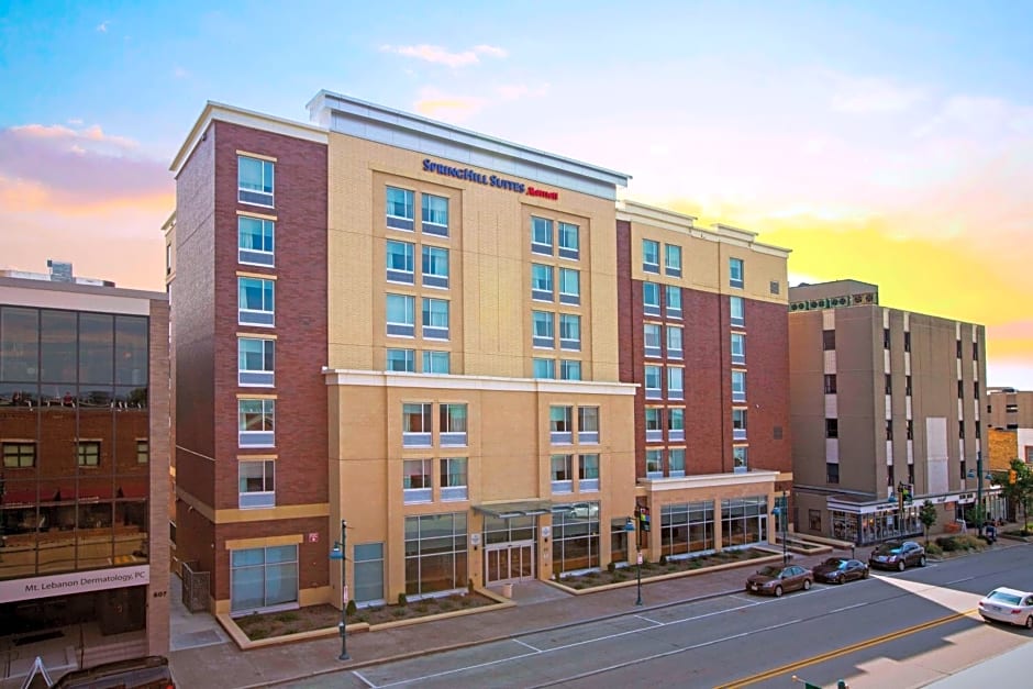 SpringHill Suites by Marriott Pittsburgh Mt. Lebanon