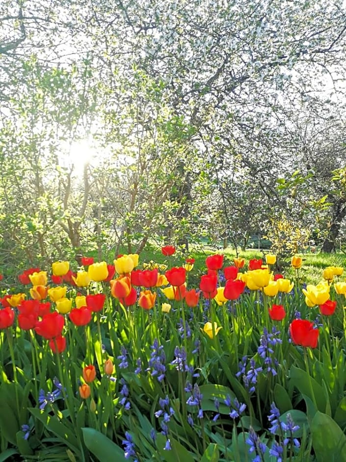 La Malinette B&B, calme et authenticité