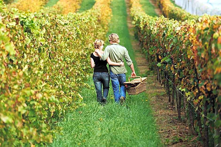 Goldfield Holiday Units