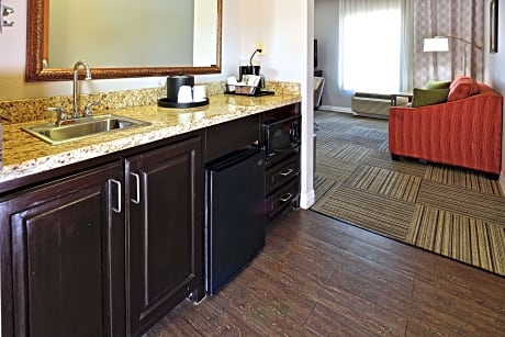 1 King Bed Studio Ste With Sofabed Nonsmoking