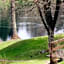 Falken am Rotsee