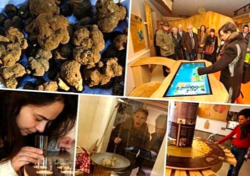 La Maison Du Bonheur