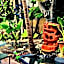 Casa del Caribe Inn