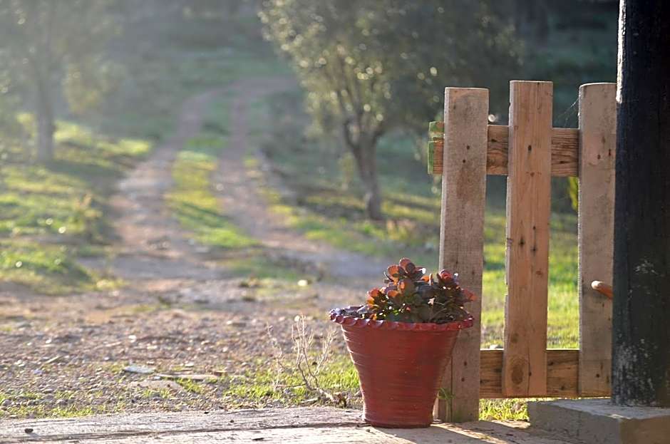 Ferma Jebala Ecolodge