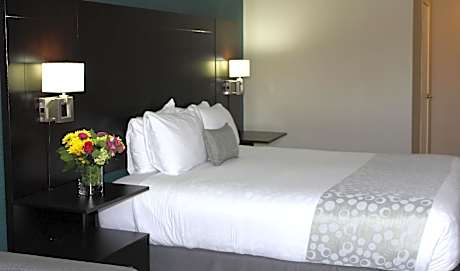 King Room with Bath Tub - Disability Access