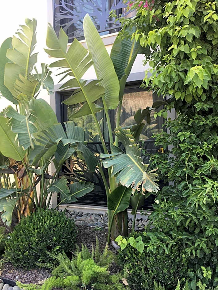 Villa Oliva Butik Hotel