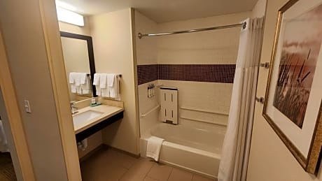 King Studio Suite - Mobility Access Tub/Non-Smoking