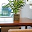 Junior Suite Terraza. ¡Unforgettable Experience!