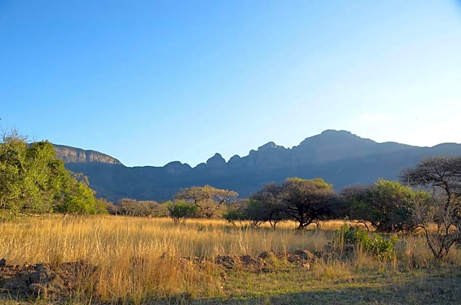 Moholoholo Forest Camp