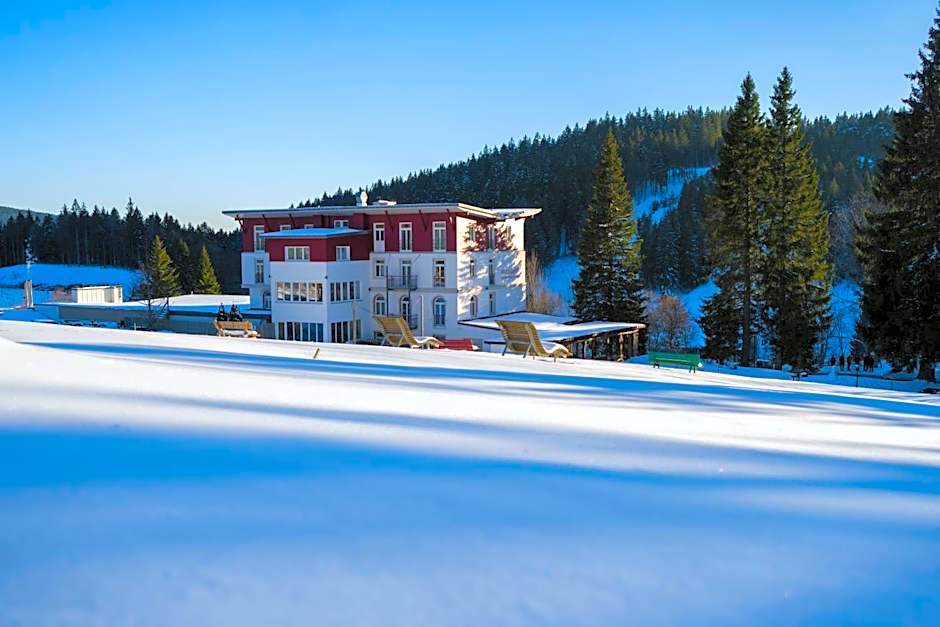 Das Waldhotel - Genuss & Wellness am Notschreipass