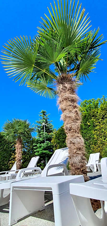 Ambre Mare - Wypoczynek pod Palmami