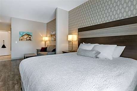 King Suite with Roll - In Shower - Disability Access