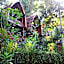 Bulian Homestay
