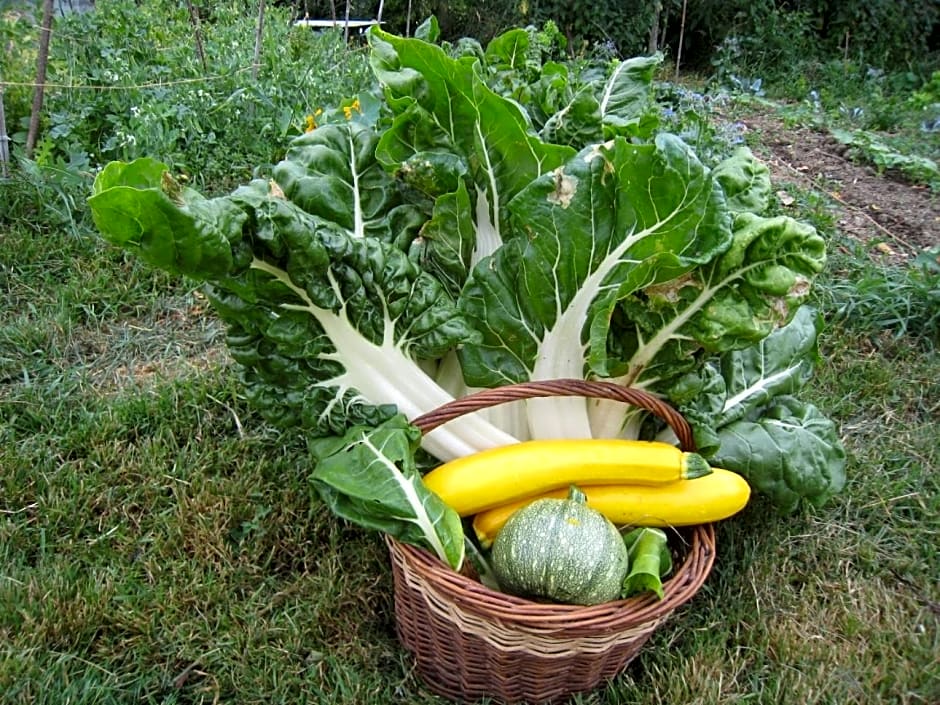 Ô prés d'ici Chambres d'hôtes