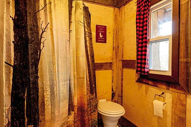 Entre Lemoine et l'arbre