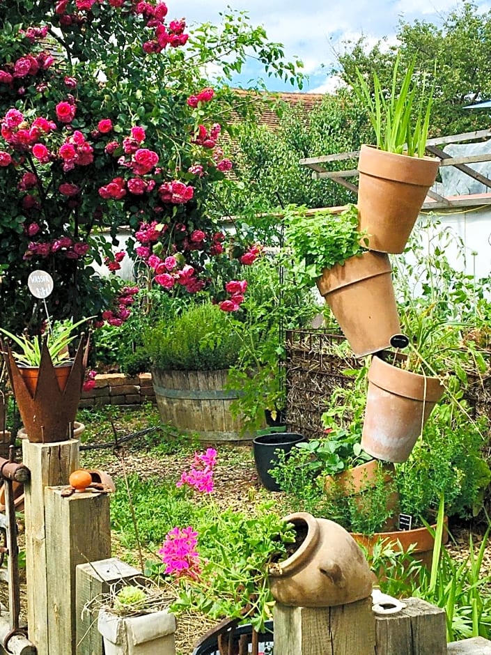 Bed & Breakfast Chez Lips