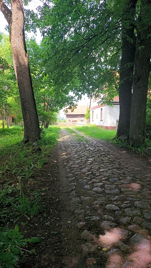 Dom na Mazurach Pilec