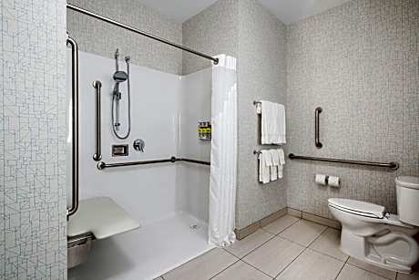 Standard King Room with Mobility Accessible Roll-In Shower