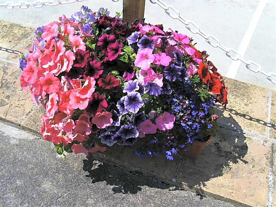 Merriedale Guest House