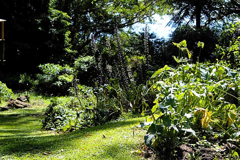 Tomah Retreat - Studio RELAX with fireplace