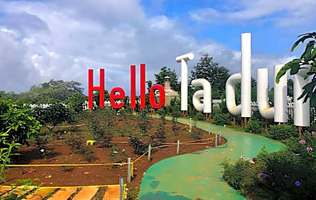 Ta ?ung Topview Homestay