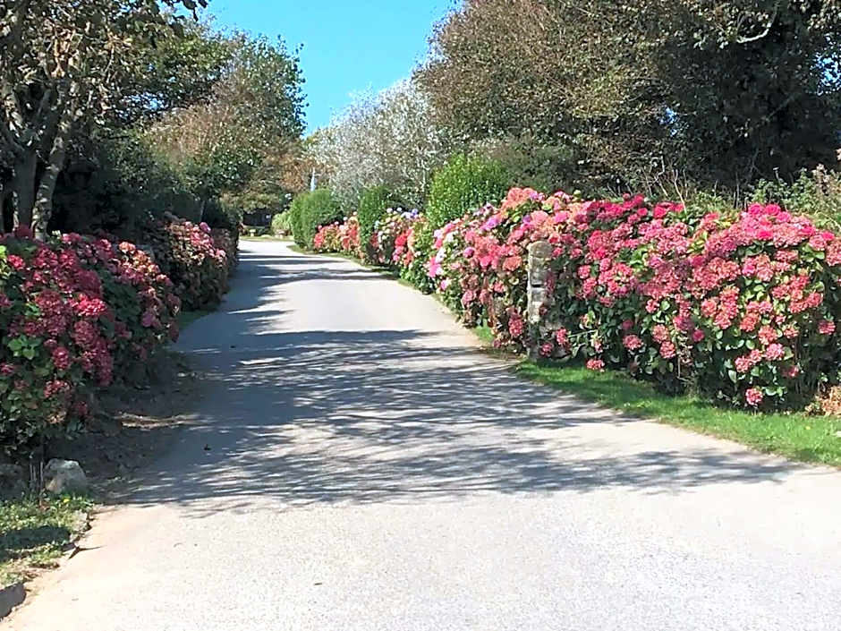 Cosy 2 bed pet friendly holiday home Crantock Nr Newquay