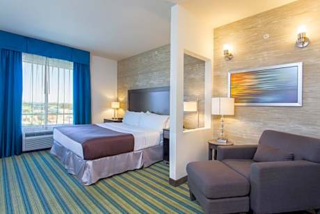 1 King Bed 1 Bedroom Suite