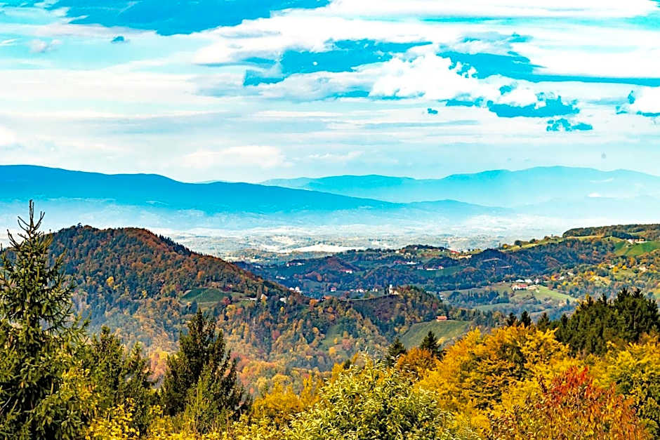 Winzerhotel am GUT MOSER