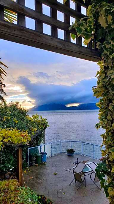 Dream House -Water Lily