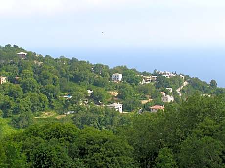 Hotel Tsagarada