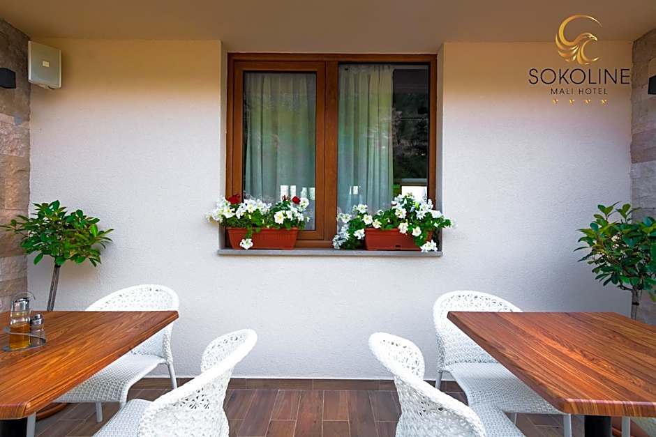 Hotel Sokoline