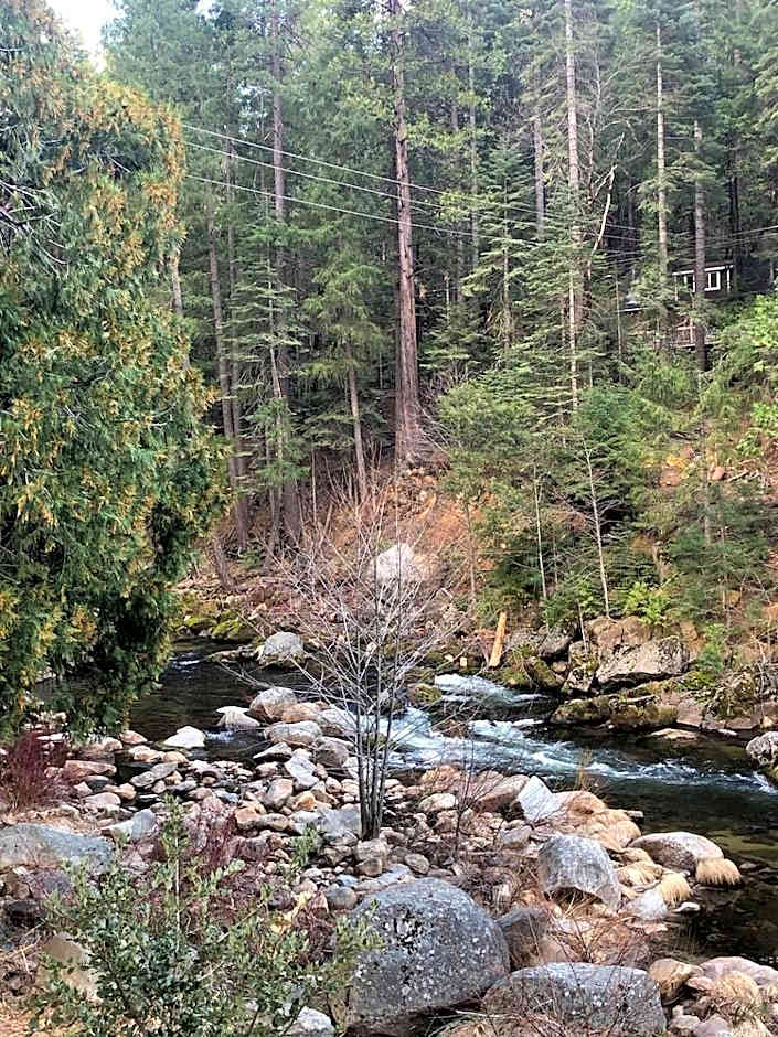 Sierra Inn on the River