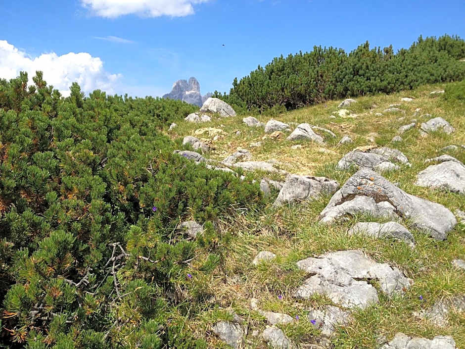 Hotel am Sonnenhügel