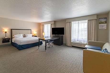 1 King Mobility Access Ri Shwr Studio Nosmok