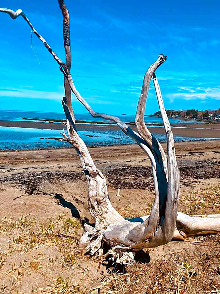 Gite de la Baie Hatée
