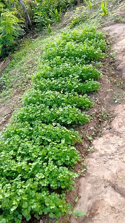 Chalé com Vista Privilegiada