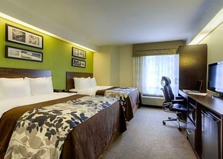 Standard Queen Room with Two Queen Beds