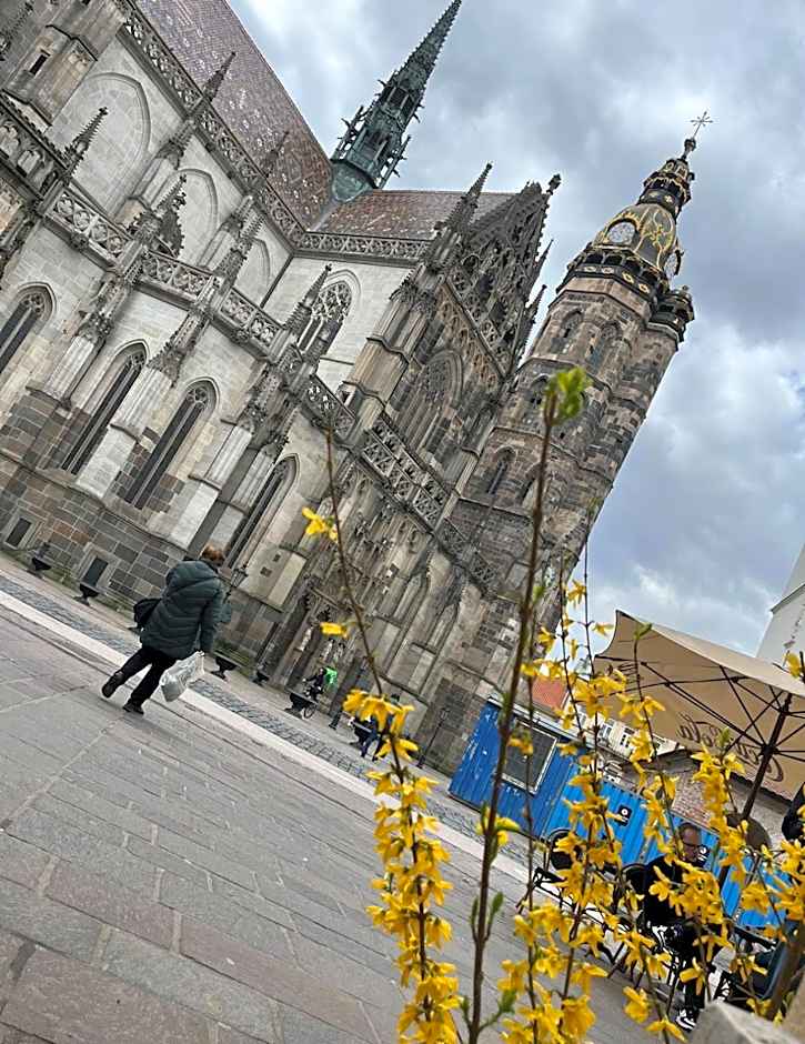 Old Town Single Room El Moly