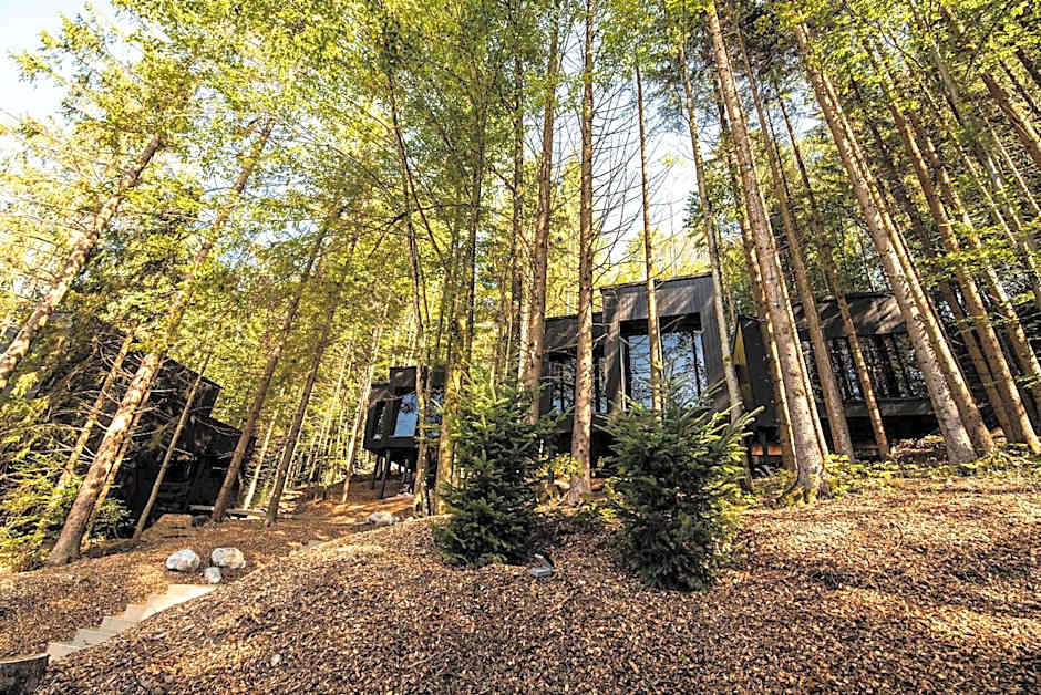 Hotel Fischerwirt Natur WaldSPA